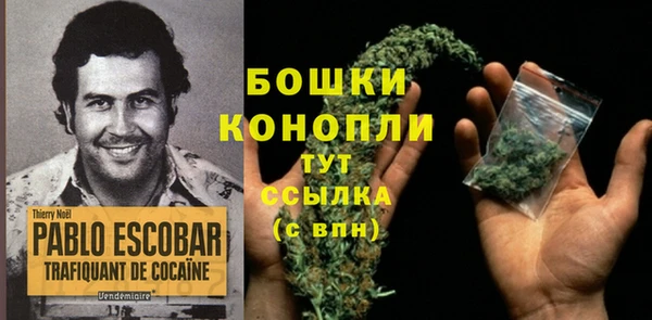 мяу мяу мука Белая Холуница