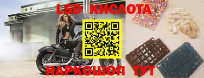 индика Донской
