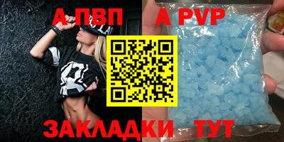 кокс Кингисепп