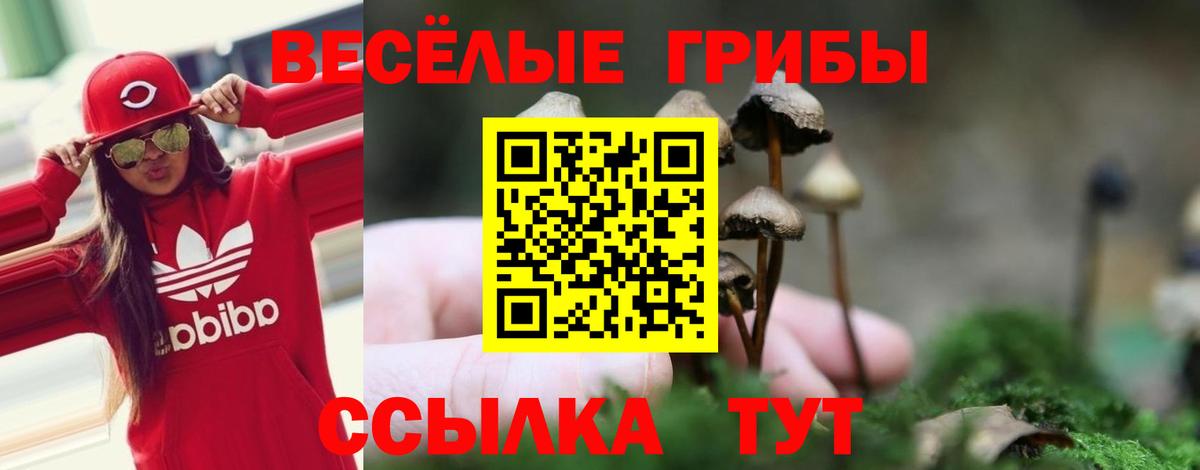 Псилоцибиновые грибы мицелий  Вход с VPN  Псилоцибиновые грибы Magic Shrooms  Таганрог 